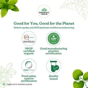 A TATA Product - Organic India Tulsi Green Tea Classic - 25 Tea Bags, Uplifts Mood, Rich in Antioxidants, Blend of Rama, Krishna & Vana Tulsi, Certified Organic